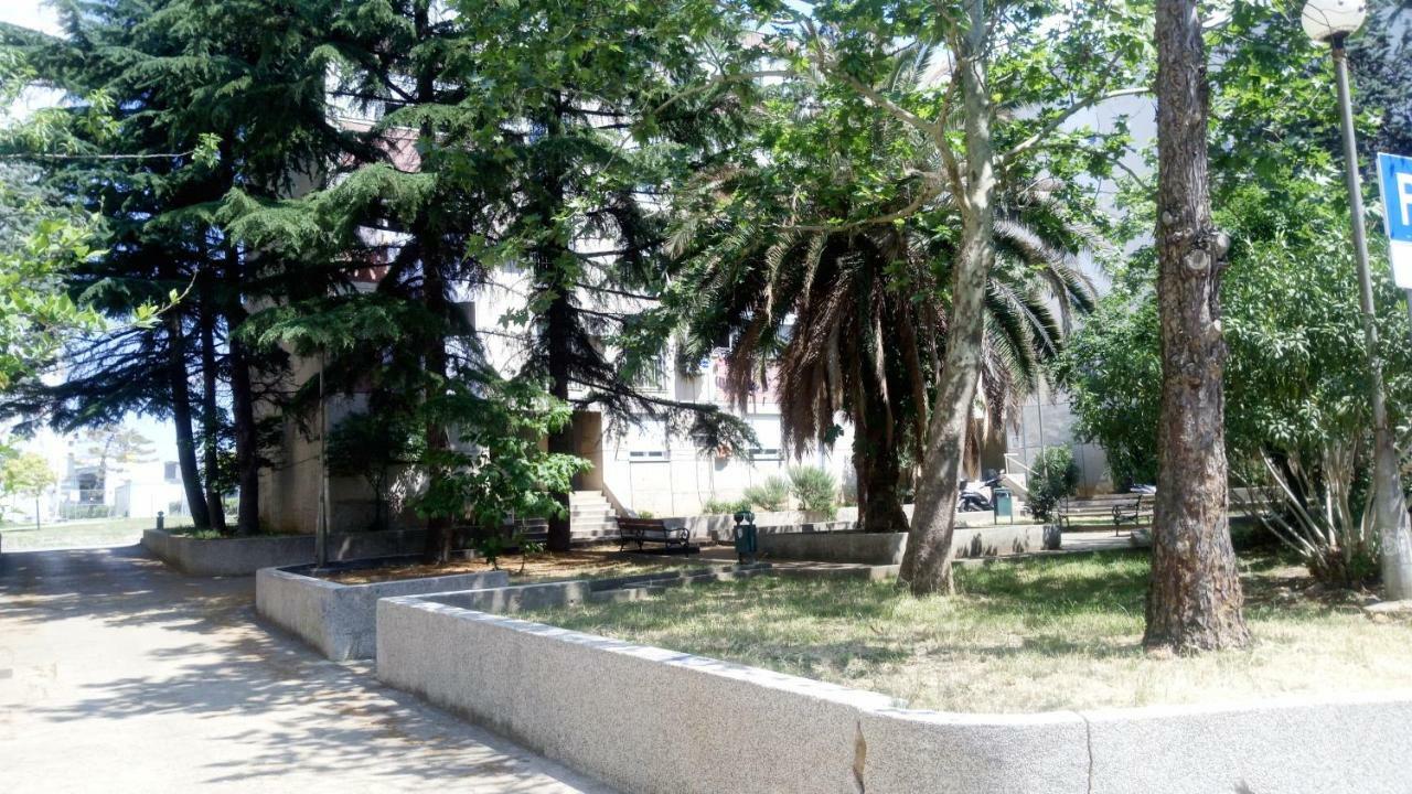 Apartments Zara- Zd Dış mekan fotoğraf